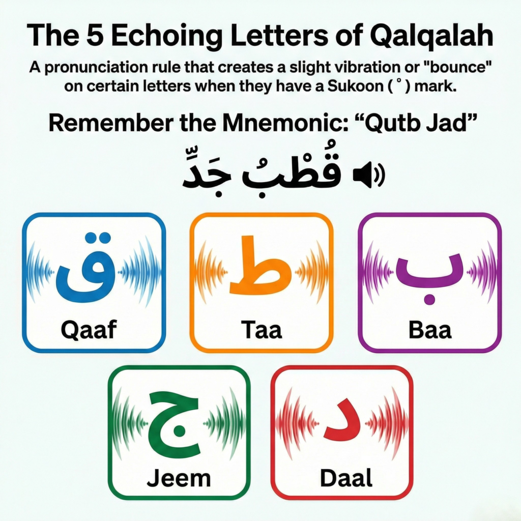 The five Qalqalah letters in Tajweed: Qaaf, Taa, Baa, Jeem, and Daal, which require an echoing sound when carrying Sukoon