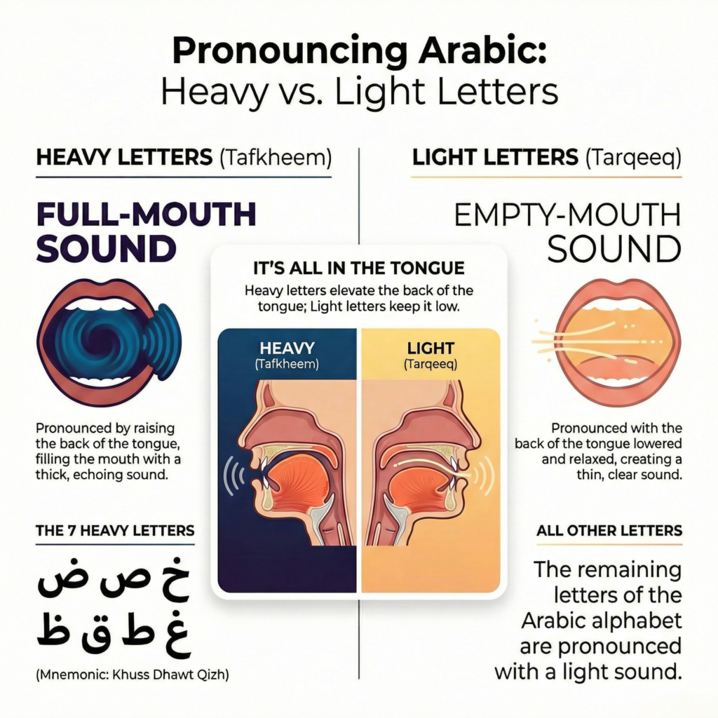 Comparison of heavy (Tafkheem) and light (Tarqeeq) letters in Tajweed showing the seven always-heavy letters
