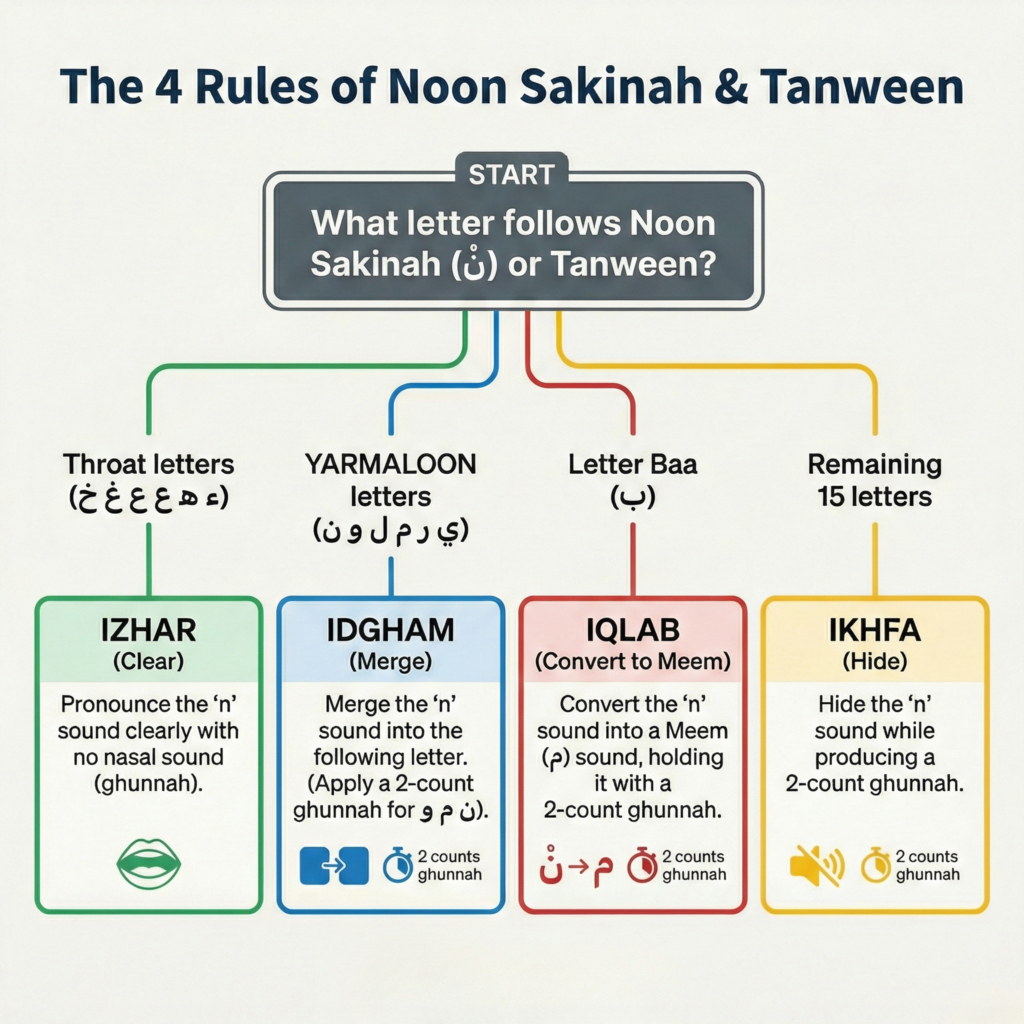 Flowchart showing the four rules of Noon Sakinah and Tanween in Tajweed: Izhar, Idgham, Iqlab, and Ikhfa